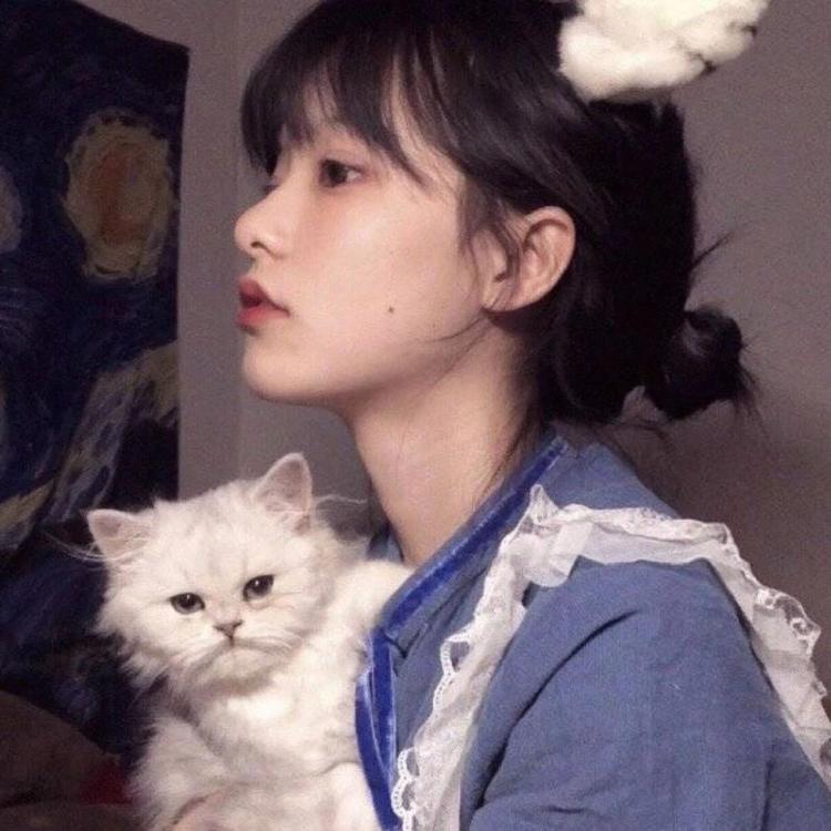 吉田俊司 - 网络短剧全集在线观看 - 网页看电影